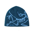 Arc'teryx Bird Head Toque