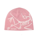 Arc'teryx Bird Head Toque