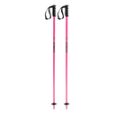 Faction Prodigy Poles