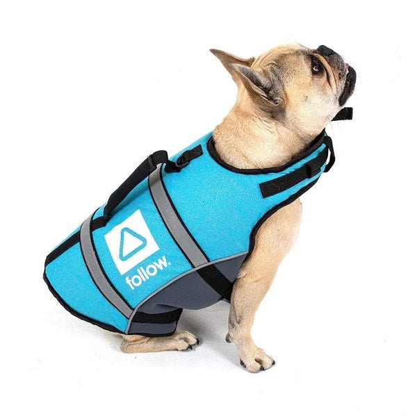 Follow Dog Floating Aid - Grey / Teal